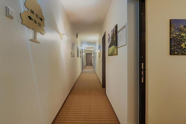 Eichengrund Cochstedt Hecklingen (Salzlandkreis) Exterior foto